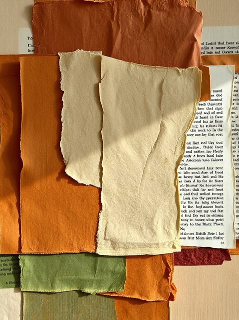 Field Margin — Collage & acrylic on board